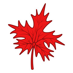 Maple Leaf. The red part of the tree with veins. Emblem of Canada. Color vector illustration. Cartoon style. Isolated background. The leaf shape is crown-shaped. Idea for web design.