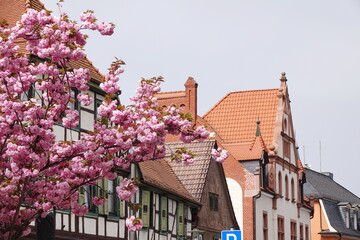 Altstadt in Gross-Gerau