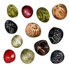 Set of peppercorns watercolor illustration isolated on white background.