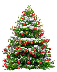 Beautiful Christmas tree decorated with red balls. Snowy Christmas tree wit red star isolated