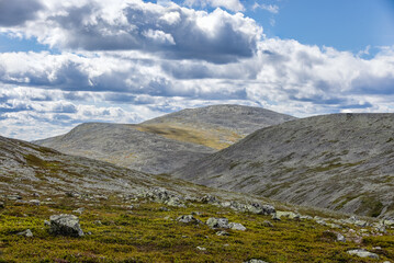 the Nature of Sonfjallet National Park