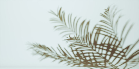 Shadow from palm leaves on white wall background. Abstract image. abstract background of shadows palm leaves on grey wall. copy space