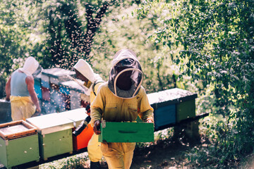 beekeeper walks carrying hive box wearing protective suit