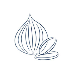 Vector line icon for onion for youre design