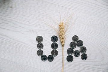 Close-up of coins of 1 and 2 hryvnia denominations, coins are scattered nearby and wheat ear lies.