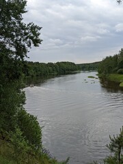 tree root against the backdrop of a wide river in summer