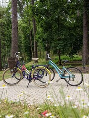 Family bicycles in the patk at summer time