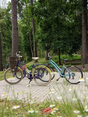 Family bicycles in the patk at summer time