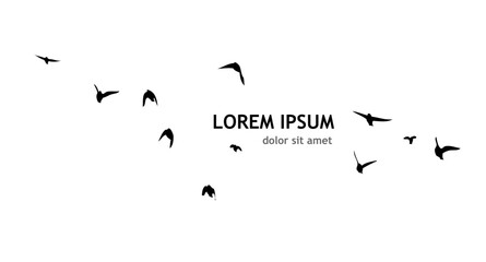 A flock of flying birds. Free birds. Vector illustration