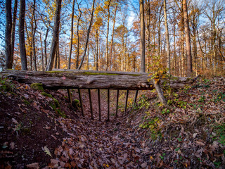 Gitter in einem trockenen Flussbett im Wald