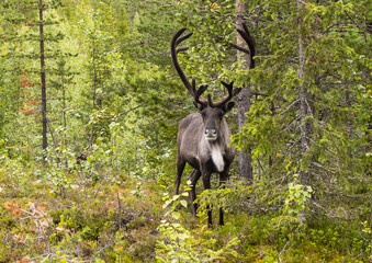 the Nature of Seri Nature Reserve