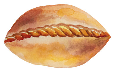 Russian or ukrainian Pie isolated watercolor illustration, baked goods