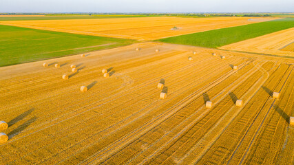 Aerial view over agricultural fields in harvest time, season, round bales of straw over harvested field