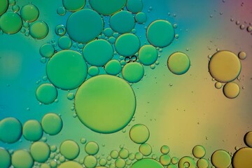 multicolored oil circles on the water, abstract background