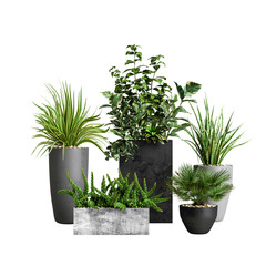 3d illustration of set potted plant isolated on transparent background