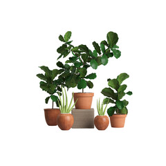 3d illustration of set potted plant isolated on transparent background