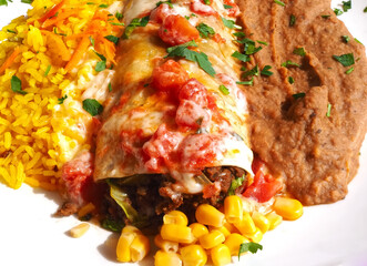 mexican food burritos with tomato refried black beans and rice