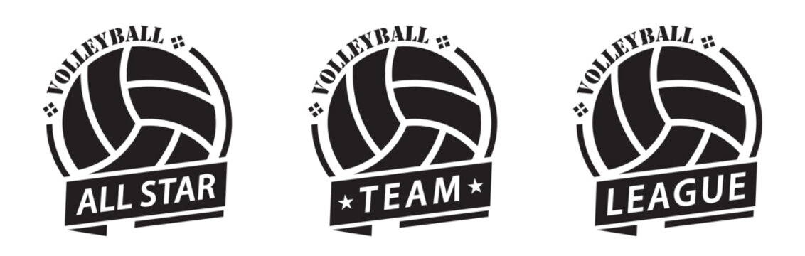 Volleyball logo set icon, vector illustration