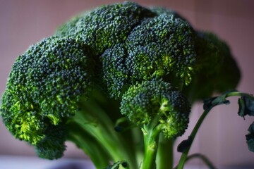 brassica oleracea italica, verduras, alimento, salubre, verde, aislada, fresco, blanco, crudo,...