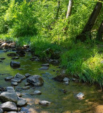 forest protected with pebble stones and trees in Kirklareli city, Turkey.