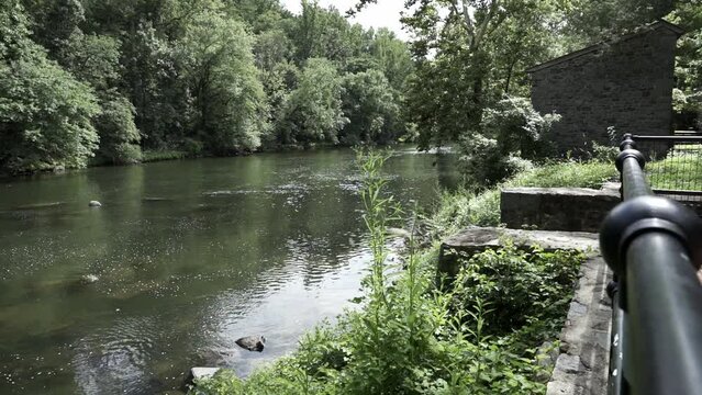 Tributary of Brandywine Creek. Slowly flowing water stream surrounded by trees