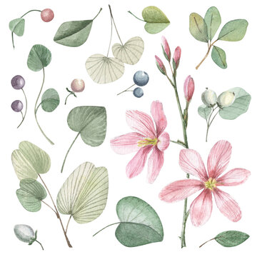 Set of watercolor hand-drawn botanical illustrations. Leaves, floral pink branch, berries isolated on white.