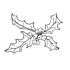 Botanical sketch of holi branches with berries and leaves.Traditional decoration for New Year and Christmas holidays.Vector graphic.