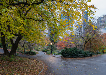 Naklejka premium Autumn in Central Park raining morning