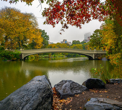 Bow bridge in late autumn, NYC