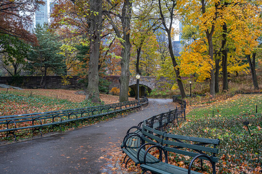 Autumn in Central Park raining morning
