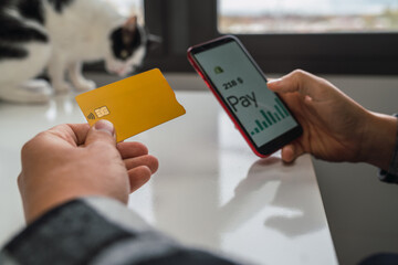Hand of anonymous person making online electronic payments on his smart phone with his credit card and his black and white cat on the back.