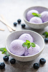 Homemade blueberry  ice cream with fresh blueberries