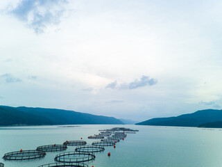 Breeding of freshwater fish in lake with round nets. Rhodope mountains, Europe
