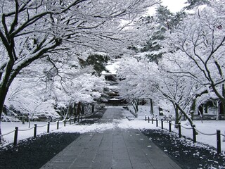 京都　南禅寺の雪景色