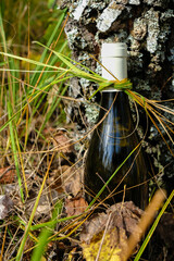 The wine bottle is decorated with dry grass on the autumn background. Sunlight.
