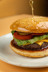 Tasty hamburger on an orange background
