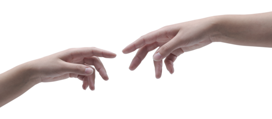 PNG file no background Female hands reaching each other
