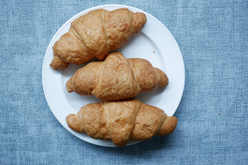 fresh baked croissant on plate with copy space 