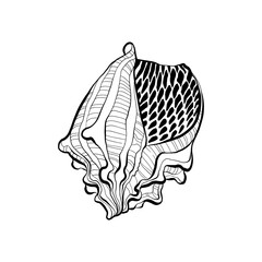 Ocean and Sea, Botanica illustration. Black ink, line, doodle style. 