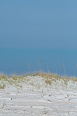 Sand Dune Hill with Sea Grass