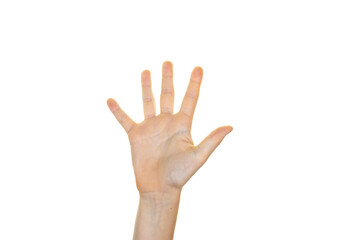 a counting hand isolated on transparent background, white background, a hand showing five with fingers, copy space