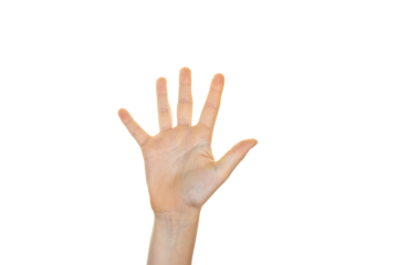 a counting hand isolated on transparent background, white background, a hand showing five with fingers, copy space