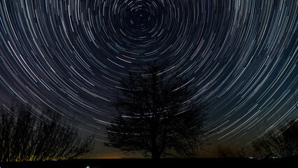 Star trails in the night sky above the silhouette of a tree