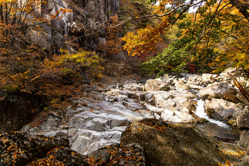 waterfall in autumn forest