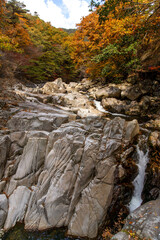 Obraz premium mountain river in autumn