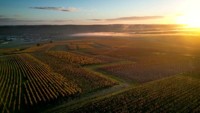 Vineyards Chablis france