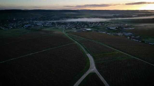 Chablis timelapse vineyard sunrise morning autumn