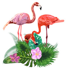 Pair of flamingos and flowers