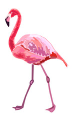 Obraz premium Pink flamingo, hand drawn, isolated png