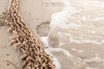 Fußabdruck am Strand neben Treibgut Netz.
Footprint on the beach next to flotsam net. - obrazy, fototapety, plakaty
